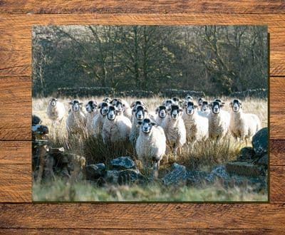 Swaledale Sheep 'A Bigger Wall' Glass Chopping Board Large toughened glass