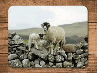 Swaledale  Sheep Place Mats