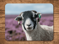 Swaledale  Sheep Place Mats