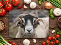Swaledale  Sheep Place Mats