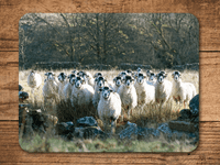 Swaledale  Sheep Place Mats