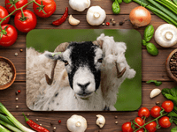 Swaledale  Sheep Place Mats