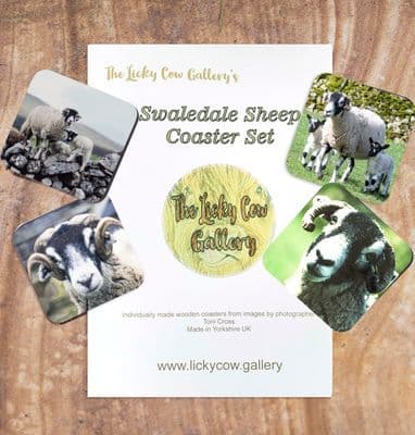 Swaledale Sheep Wooden Coaster Sets