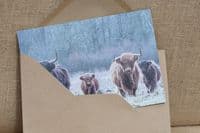 The Herd Highland Cow Greetings Card