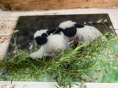 Valais Blacknose Lambs Glass Chopping Board Large toughened glass