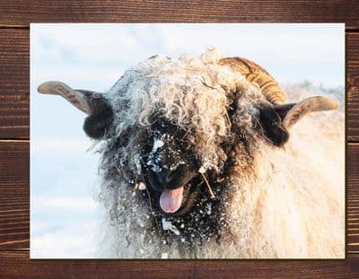 Valais Blacknose 'Laughing Valais' Glass Chopping Board Large toughened glass