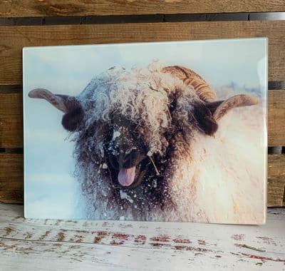 Valais Blacknose 'Laughing Valais' Glass Chopping Board Large toughened glass