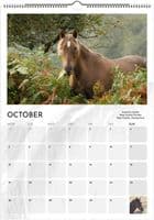 Wild Horses Special Edition A3 Wall Calendar
