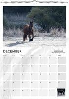 Wild Horses Special Edition A3 Wall Calendar