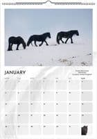 Wild Horses Special Edition A3 Wall Calendar