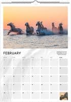 Wild Horses Special Edition A3 Wall Calendar