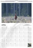 Wild Horses Special Edition A3 Wall Calendar