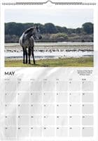 Wild Horses Special Edition A3 Wall Calendar