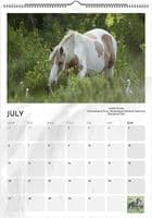 Wild Horses Special Edition A3 Wall Calendar