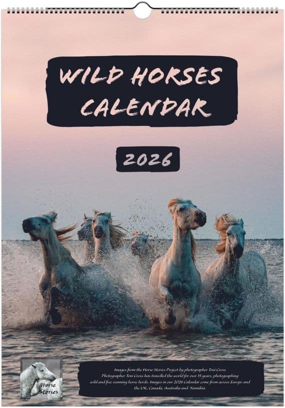 Wild Horses Special Edition A3 Wall Calendar