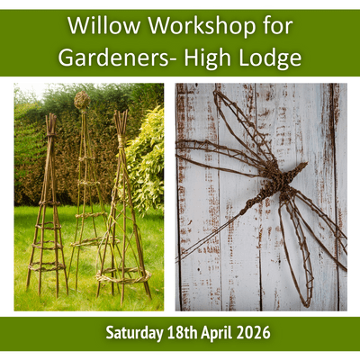 Willow Weaving for Gardeners Workshop High Lodge Thetford Forest