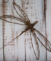 Willow Workshop Gift Voucher