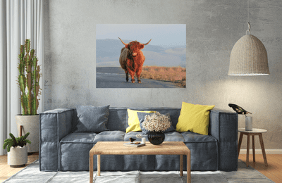 Yorkshire Dales Evening Highland Cow Premium Canvas Print