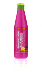 Salerm Straightening Shampoo 250ml