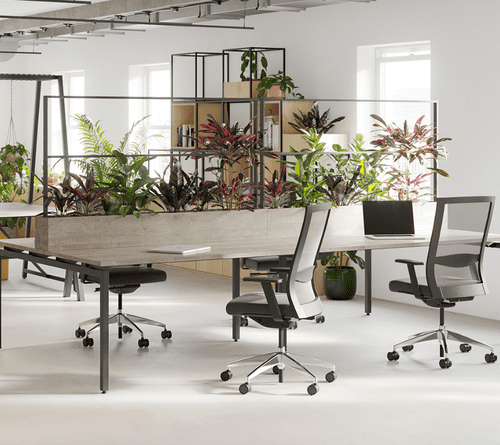 Desk Planter