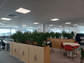 Planter with Cupboard Storage | MFC Finish Office Planter | Biophilia Workspace | Plant Cupboard