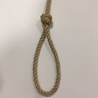 Natural 3 Strand Polyester Lead