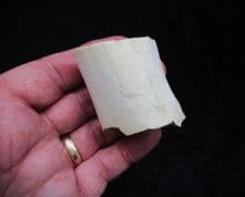 "Running Rhino" Limb Bone