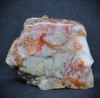 Agatised Dinosaur Coprolite