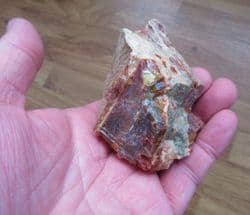 Araucarioxlyon arizonicum (Knowit)