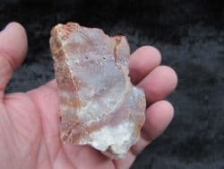 Beautiful Petrified rainbow wood from Arizona
