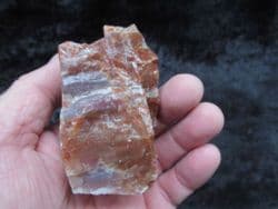 Beautiful Petrified rainbow wood from Arizona