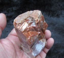 Beautiful Petrified rainbow wood from Arizona
