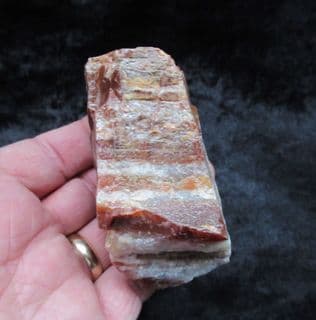 Beautiful Petrified rainbow wood from Arizona