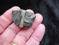 Belemnite Battlefield small example