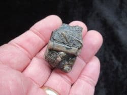 Belemnite Battlefield small example