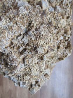 Big block of scattered Isocrinus cf. nicoleti