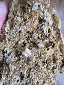 Big block of scattered Isocrinus cf. nicoleti