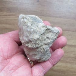 Big Coral from Abingdon