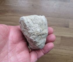 Big Coral from Abingdon