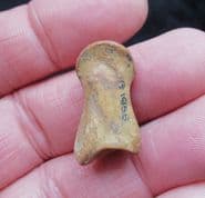 Capreolus Roe deer Phalange