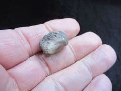 Champosaurus Crocodile vertebra