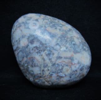 Crinoid Pebble