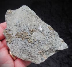 Ctenacanthoid compound scales  from the Triassic