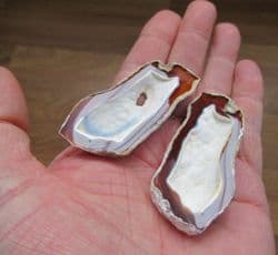 Cut and polished Agatised coral pair