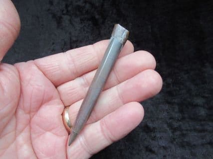 Cylindroteuthis  puzosiana (D'orbigny)