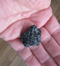 Dapedium scales both sides!