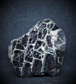 Dapedium scales both sides!