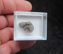Dinosaur Sauropod Coprolite from the Morrison formation