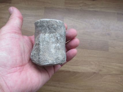 Dolphin Vertebra from Polk County