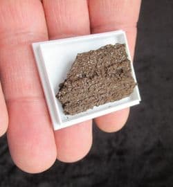 Druzy fossil wood